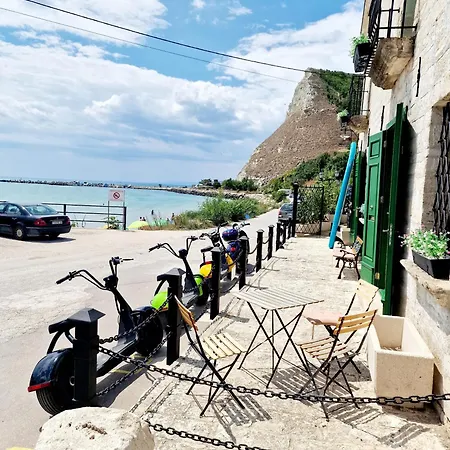 Vilă Bellavista Cavarna