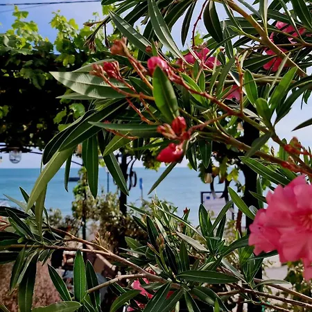 Bellavista *